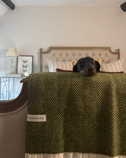 Dog peeking out from behind a green textured surface with a visible brand label.