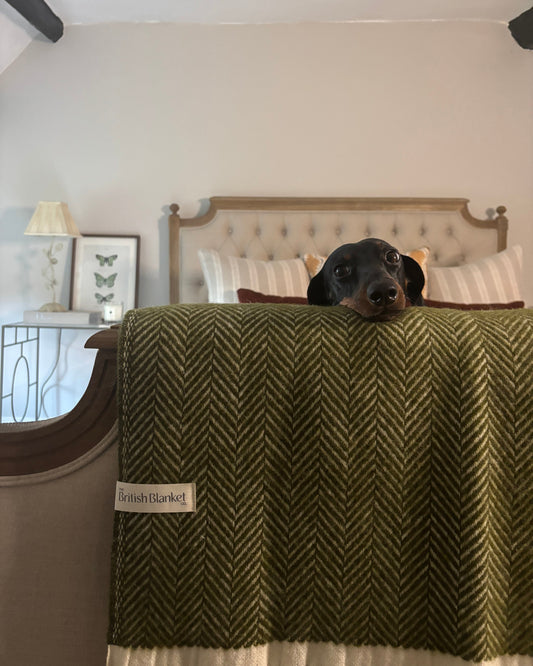 Dog peeking out from behind a green textured surface with a visible brand label.